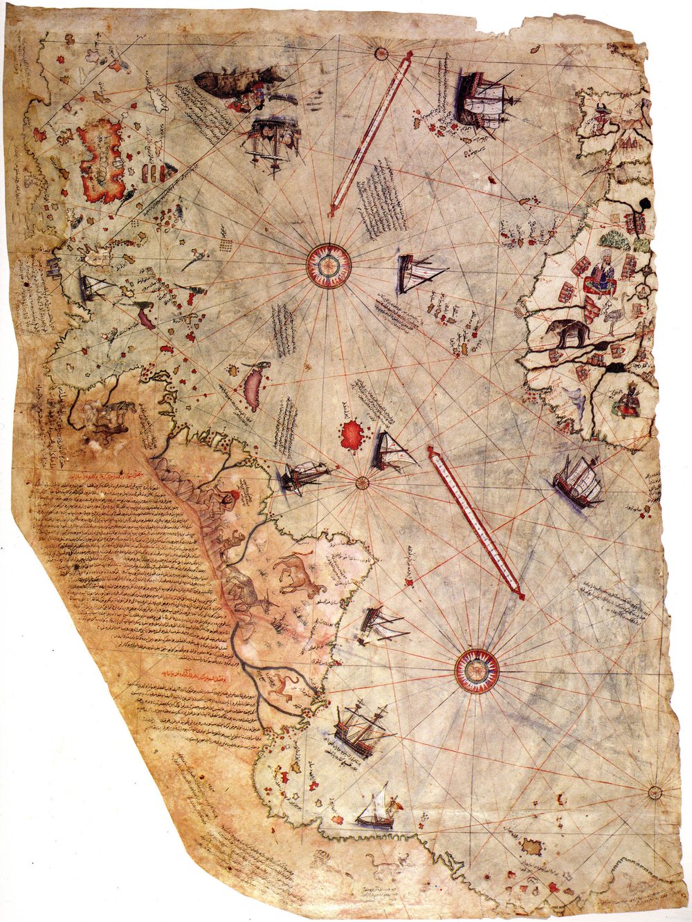 Fragment supervivent del mapa de Piri Reis de 1513, pintat sobre pell de gasela, mostrant l'Atlàntic i les costes.